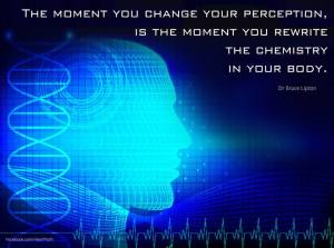 Transform Chaos to Calm