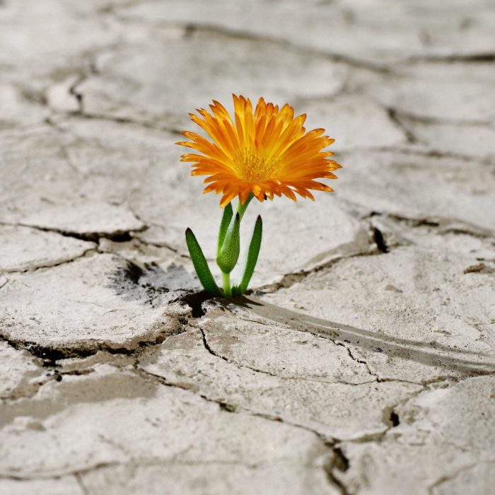 Energy Work: The reward outweighs the risk