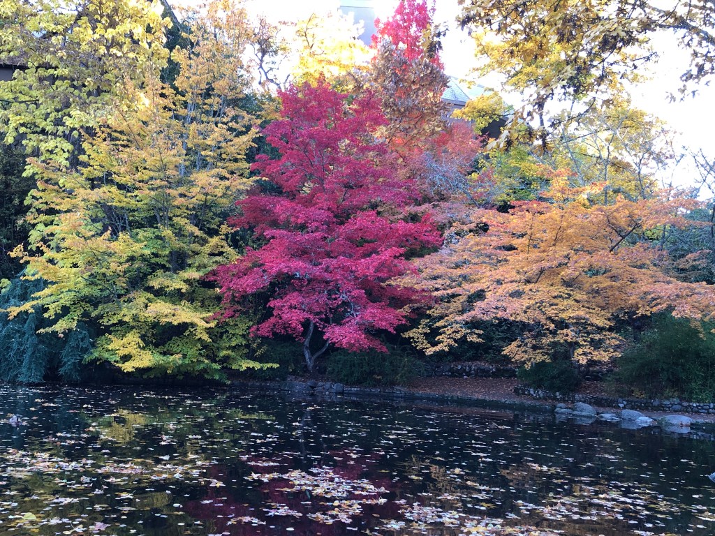 Understanding the Mercury Retrograde Cycle